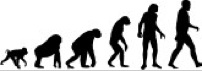 evolution
